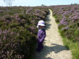 Photo /users/ganesh/events/derbyshire2012/122