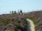 Photo /users/ganesh/events/derbyshire2012/123