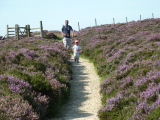 Photo /users/ganesh/events/derbyshire2012/124