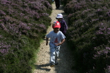 Photo /users/ganesh/events/derbyshire2012/131