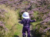 Photo /users/ganesh/events/derbyshire2012/137