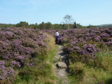 Photo /users/ganesh/events/derbyshire2012/138