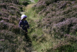 Photo /users/ganesh/events/derbyshire2012/142