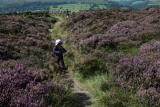 Photo /users/ganesh/events/derbyshire2012/143