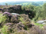 Photo /users/ganesh/events/derbyshire2012/145