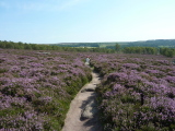 Photo /users/ganesh/events/derbyshire2012/146