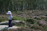 Photo /users/ganesh/events/derbyshire2012/150