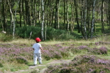 Photo /users/ganesh/events/derbyshire2012/153