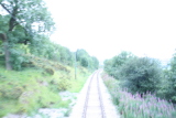 Photo /users/ganesh/events/derbyshire2012/193