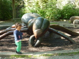 Photo /users/ganesh/events/derbyshire2012/215