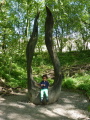Photo /users/ganesh/events/derbyshire2012/225