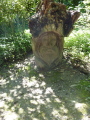 Photo /users/ganesh/events/derbyshire2012/227