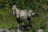 Photo /users/ganesh/events/derbyshire2012/242