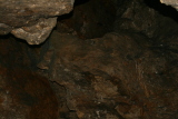 Photo /users/ganesh/events/derbyshire2012/353