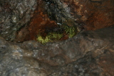 Photo /users/ganesh/events/derbyshire2012/361