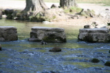 Photo /users/ganesh/events/derbyshire2012/414