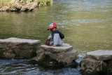 Photo /users/ganesh/events/derbyshire2012/423