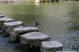 Photo /users/ganesh/events/derbyshire2012/436