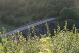 Photo /users/ganesh/events/derbyshire2012/520