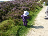 Photo /users/ganesh/events/derbyshire2012/91