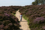 Photo /users/ganesh/events/derbyshire2012/94