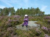 Photo /users/ganesh/events/derbyshire2012/97