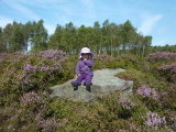 Photo /users/ganesh/events/derbyshire2012/98