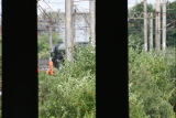 Photo /users/ganesh/events/tornado2010/135