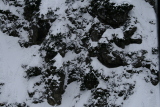 Photo /users/ganesh/gryphon/1004