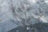 Photo /users/ganesh/gryphon/1150