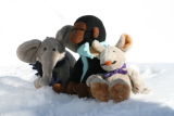 Photo /users/ganesh/gryphon/1212