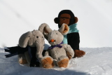 Photo /users/ganesh/gryphon/1213