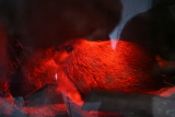 Photo /users/ganesh/gryphon/1283