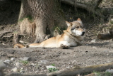 Photo /users/ganesh/gryphon/1328
