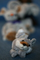Photo /users/ganesh/gryphon/1363