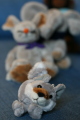 Photo /users/ganesh/gryphon/1364