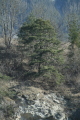 Photo /users/ganesh/gryphon/1419