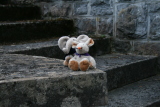 Photo /users/ganesh/gryphon/1521