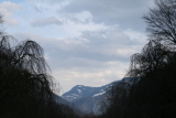 Photo /users/ganesh/gryphon/1533
