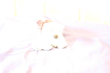 Photo /users/ganesh/gryphon/171