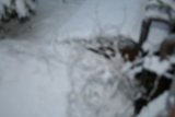 Photo /users/ganesh/gryphon/194