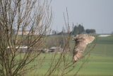 Photo /users/ganesh/gryphon/2077