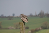 Photo /users/ganesh/gryphon/2078