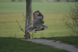 Photo /users/ganesh/gryphon/2081