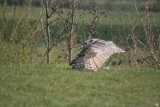 Photo /users/ganesh/gryphon/2084