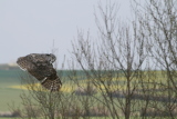 Photo /users/ganesh/gryphon/2085
