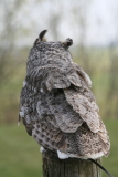 Photo /users/ganesh/gryphon/2087