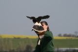 Photo /users/ganesh/gryphon/2098