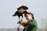 Photo /users/ganesh/gryphon/2103