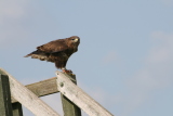 Photo /users/ganesh/gryphon/2114